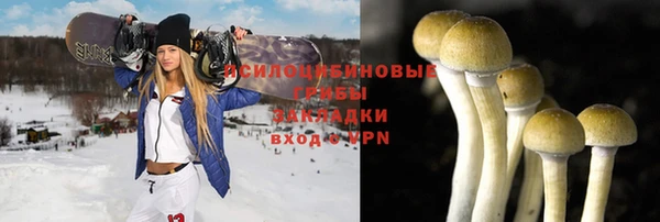 ALPHA PVP Аркадак