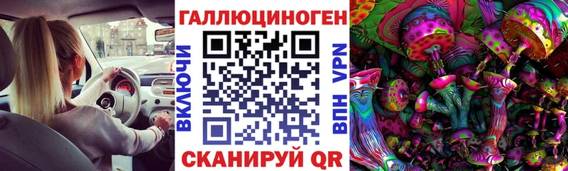 Псилоцибиновые грибы Cubensis как найти закладки Уржум